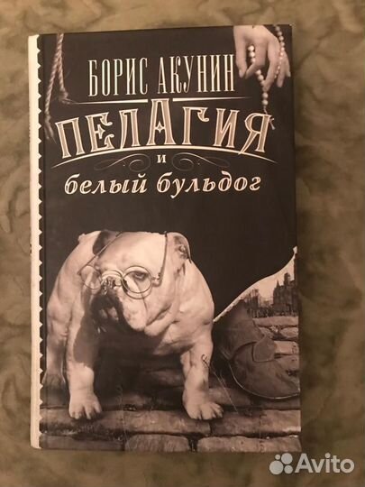 Книги/детектив/Акунин/Донцова