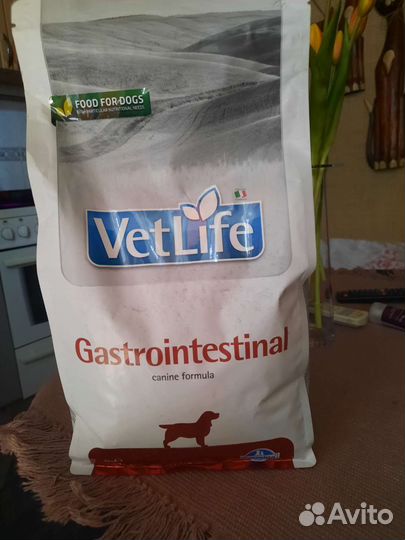 Корм гастроинтерик для собак