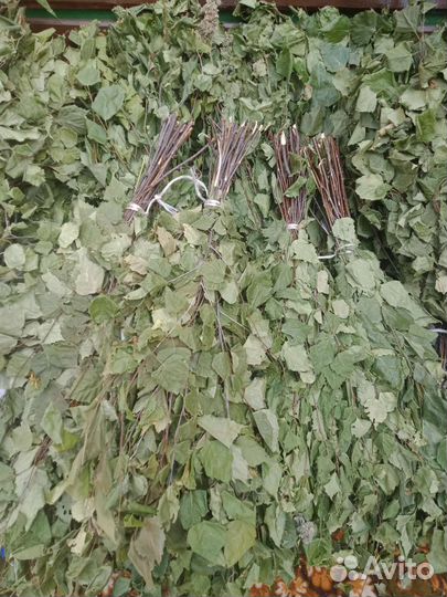 Веники для бани березовые2023г лесные с травами