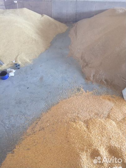 Ячмень Кукуруза Просо Семечка Шрот гранулы