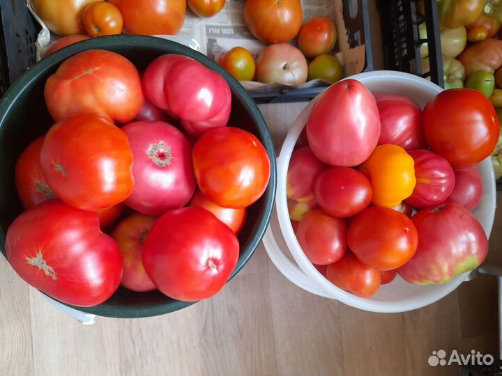 Помидоры и огурцы