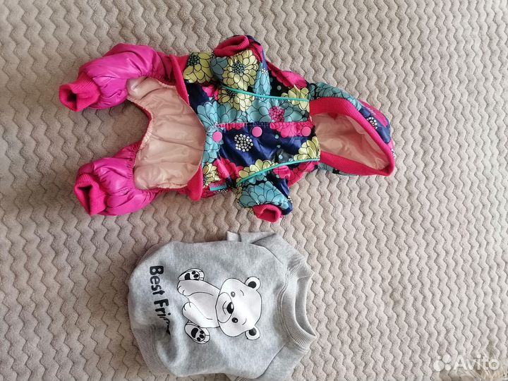 Одежда для собак