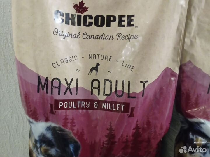Корм chicopee для взрослых собак крупных пород