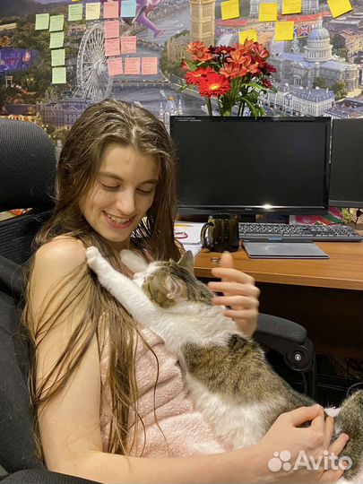 Выгул собак. Присмотр за питомцем на дому