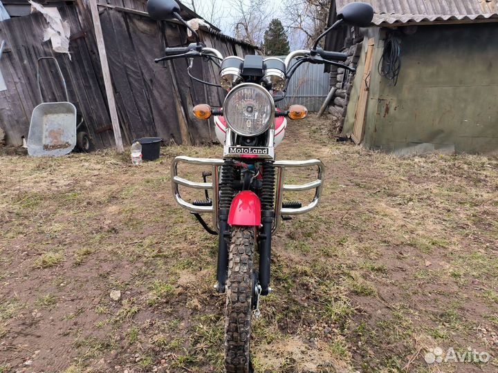 Мопед Alpha RX