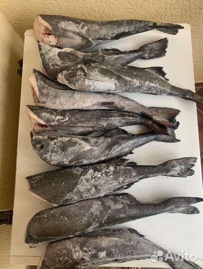 Угольная Рыба(чёрная треска) Опт и розница