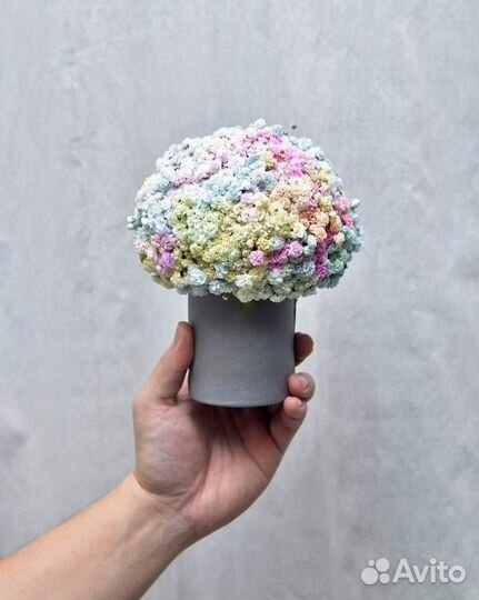 Подарок из Гипсофилы. Композиции с Гипсофилой