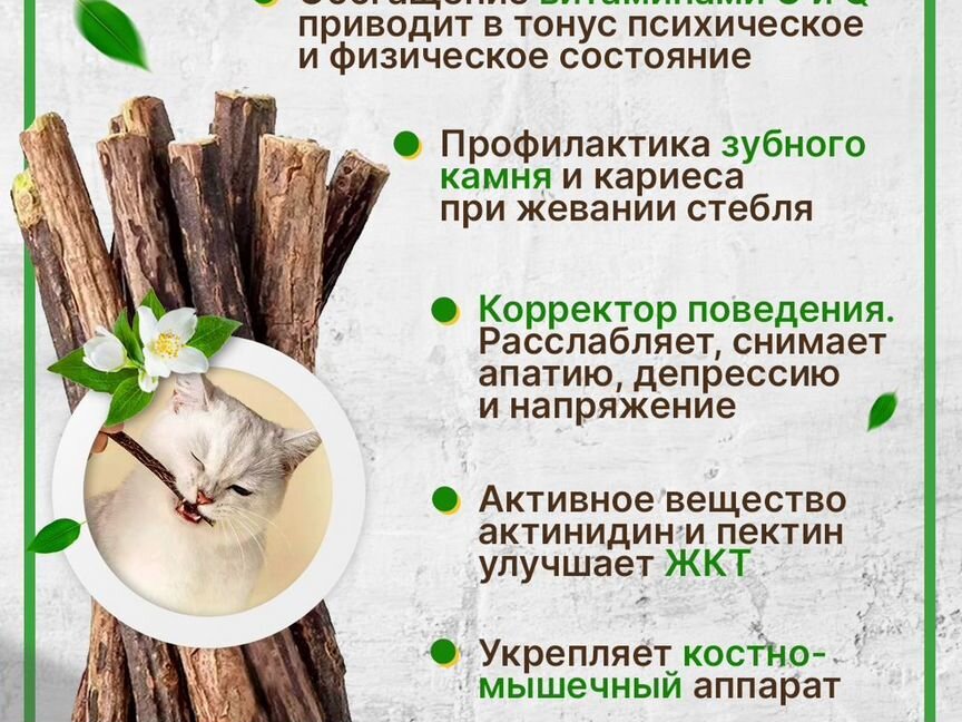 Продам палочки мататаби для кошек 12 шт/уп оптом