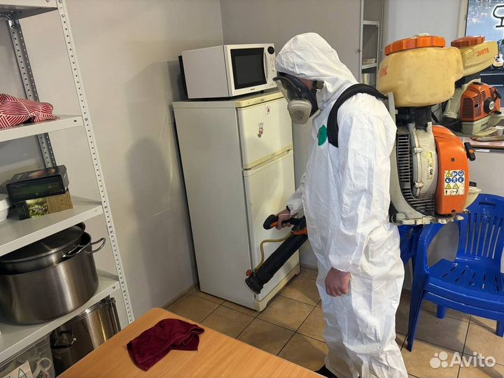 Уничтожение тараканов, клопов, муравьев, мышей