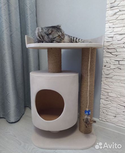 Комплексы с когтеточкой и домиком