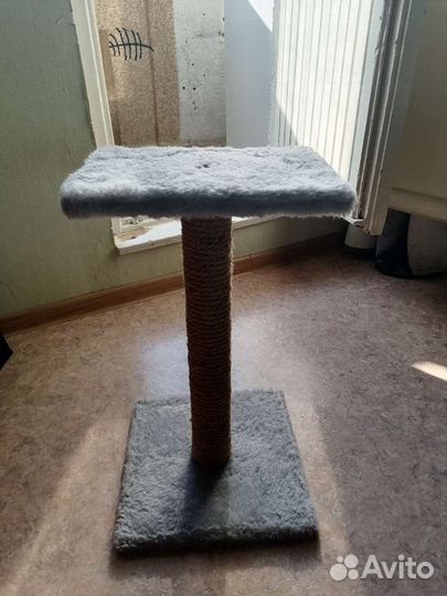 Когтеточка