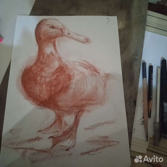 Наброски, рисунок живопись