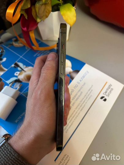 iPhone 12 Pro Max, 256 ГБ