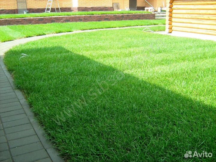 Рулонный газон - производство,доставка,укладка