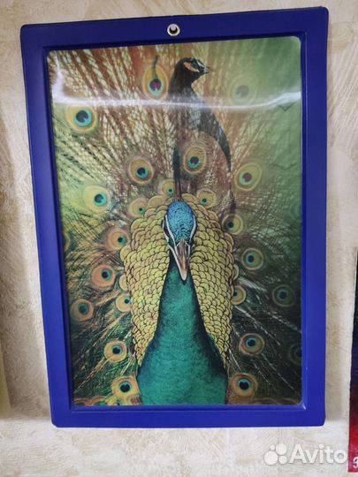 Коллекция картин