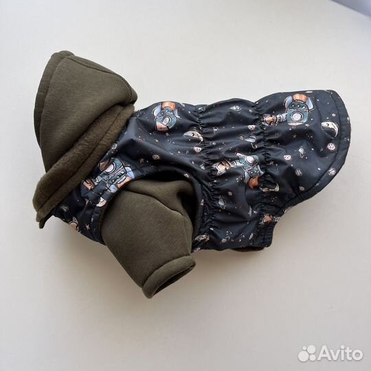 Одежда для собак