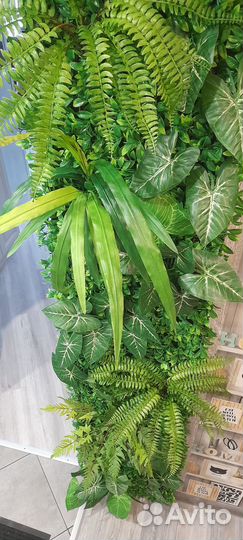 Вертикальное озеленение