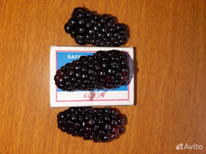 Ежевика саженцы Карака Блек и Блек Меджик