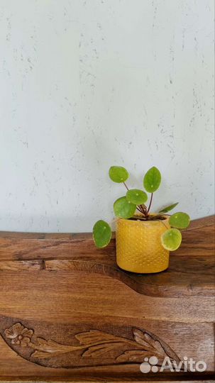 Предметы интерьера из гипса и бетона