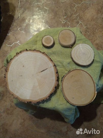 Спилы дерева