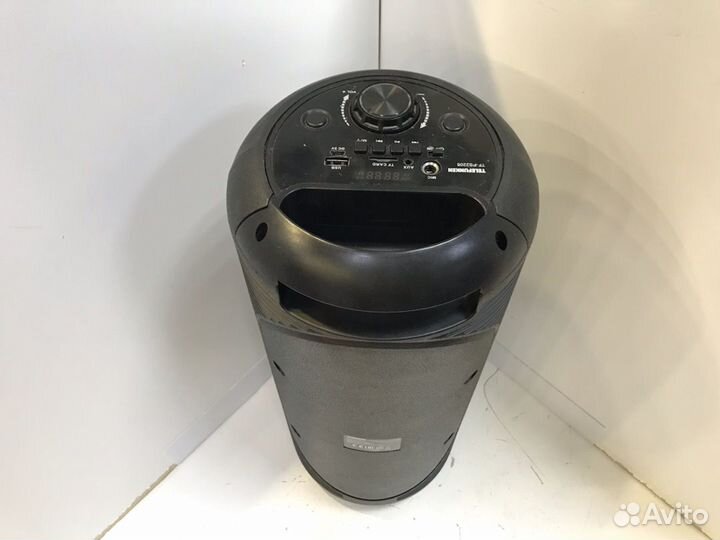 Портативная колонка Telefunken TF-PS2205