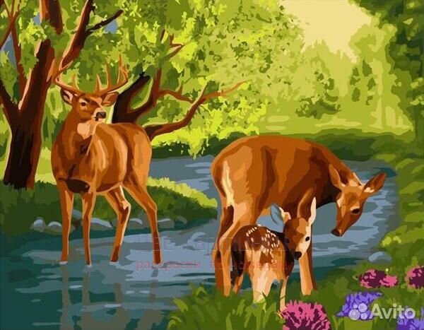 Картина по номерам 40x50 Молодые олени на водопое