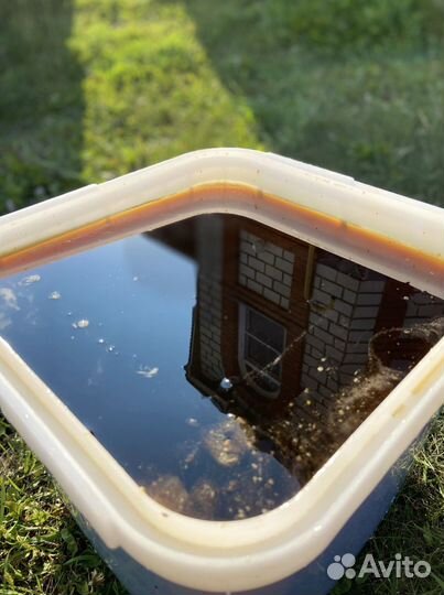 Мед оптом с Алтая / Экспорт в Китай и снг