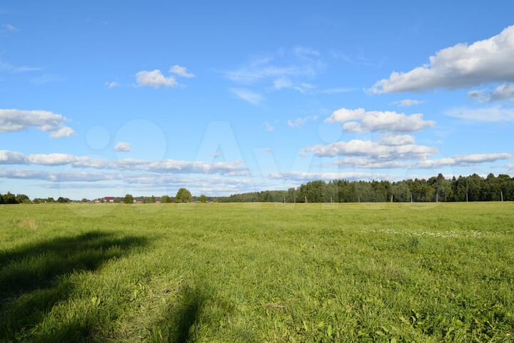 Участок 8,1 сот. (СНТ, ДНП)