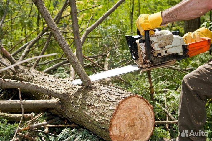 Спиливание деревьев