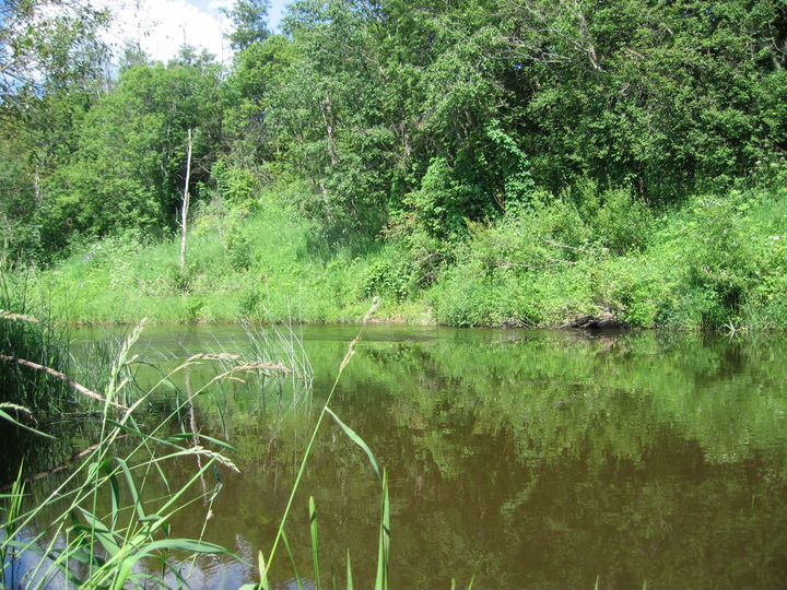 Участок 15,9 сот. (ИЖС)