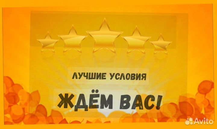 Упаковщица лекарств Выплаты еженед. Спецодежда