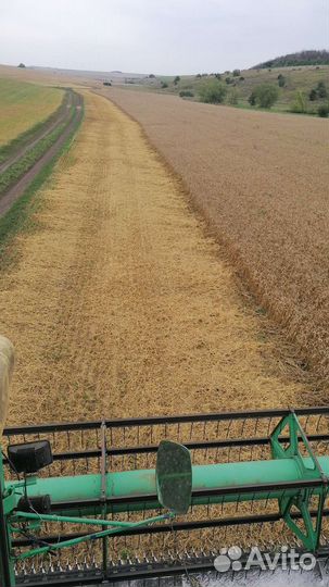 Пшеница fox(Фокс) двуручка