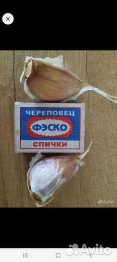 Чеснок, томаты