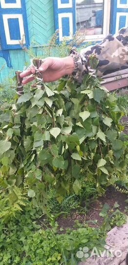 Веники для бани