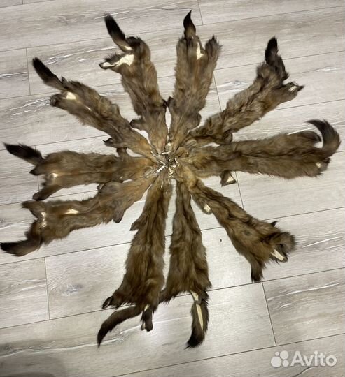 Шкурки соболя