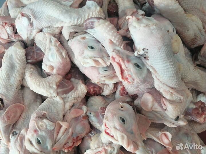 Субпродукты куриные сердце головы желудки лапы шеи