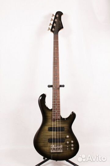 Clive Bass Indonesia Бас-Гитара