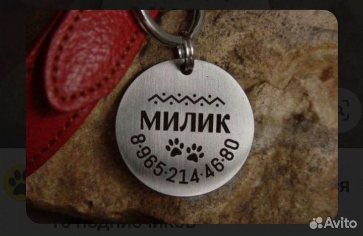 Адресник для собак и кошек