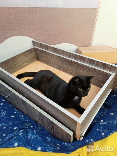 Мебель шкафы и комоды бу