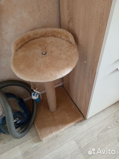 Когтеточка бу, в хорошем состоянии, 500