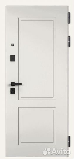 Дверь входная железная в квартиру