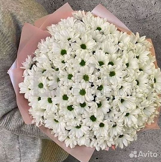 Хризантема Букеты с доставкой