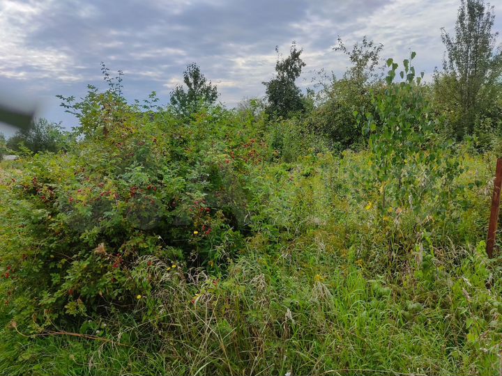 Участок 12 сот. (СНТ, ДНП)