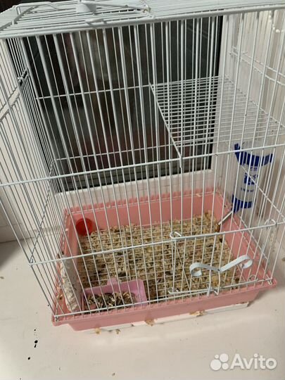 Клетка для грызунов + корм little one