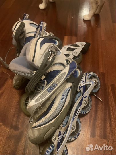 Ролики взрослые Fila