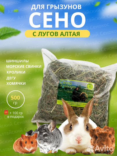 Сено для грызунов