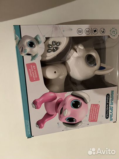 Кот с пультом