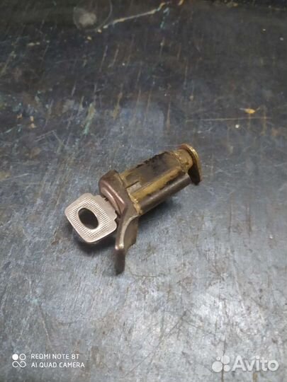 Личинка багажника 