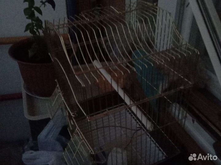 Клетка для попугая