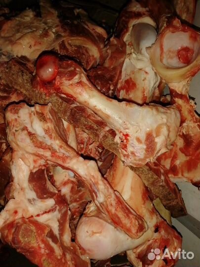 Отходы на корма для животных